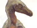 c_1233178877639_Sitar__Kessitar_Syntarsis__-_Troodont_Acrylics_by_sitar.jpg